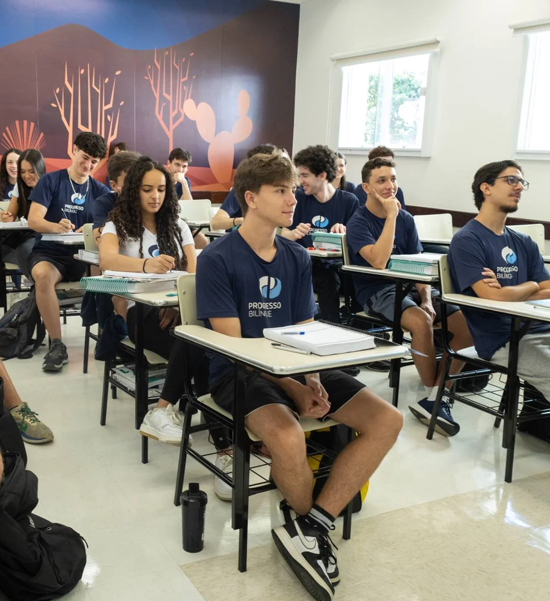 Grupos de disciplinas
