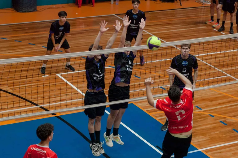 Voleibol