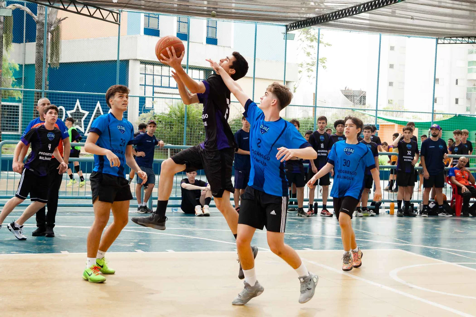 Clubs, sports, and opportunities  