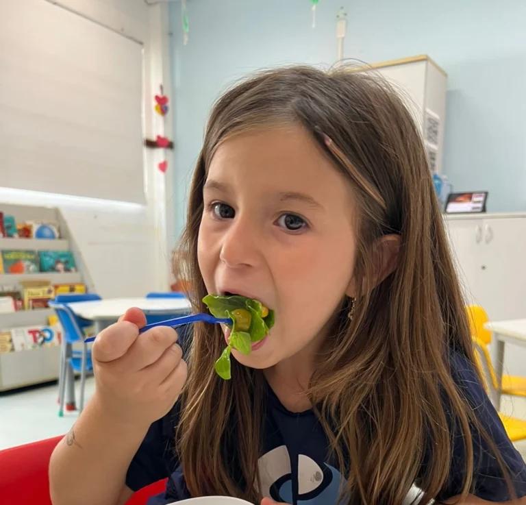 Thrive on healthy meals